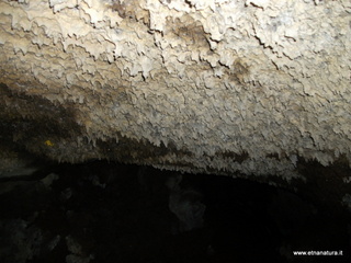 otta Petralia-17-03-2013 10-43-20